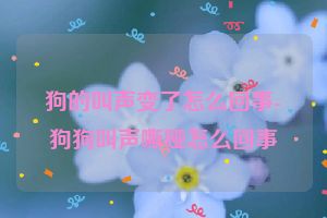 狗的叫声变了怎么回事-狗狗叫声嘶哑怎么回事