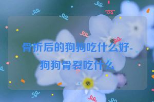 骨折后的狗狗吃什么好-狗狗骨裂吃什么