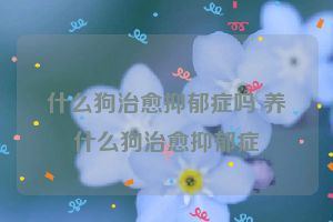 什么狗治愈抑郁症吗 养什么狗治愈抑郁症