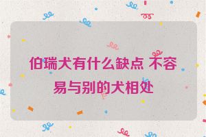 伯瑞犬有什么缺点 不容易与别的犬相处