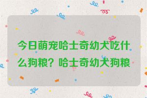 今日萌宠哈士奇幼犬吃什么狗粮？哈士奇幼犬狗粮