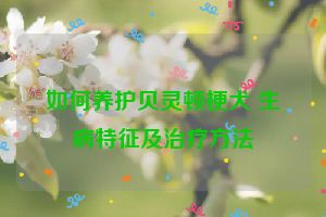 如何养护贝灵顿梗犬 生病特征及治疗方法