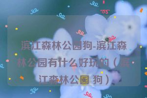 滨江森林公园狗-滨江森林公园有什么好玩的（滨江森林公园 狗）