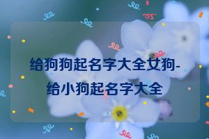 给狗狗起名字大全女狗-给小狗起名字大全