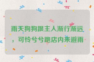 雨天狗狗跟主人渐行渐远,可怜兮兮跑店内来避雨