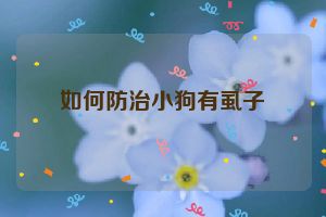 如何防治小狗有虱子