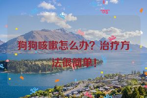 狗狗咳嗽怎么办？治疗方法很简单！