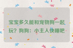 宝宝多久能和宠物狗一起玩？狗狗：小主人快睡吧