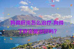 狗得肝炎怎么治疗-狗得了肝炎能治好吗？