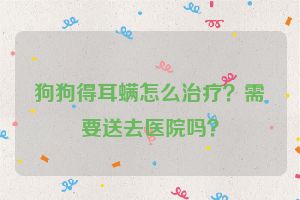 狗狗得耳螨怎么治疗？需要送去医院吗？